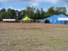 Auf der großen Wiese ist Platz genug.