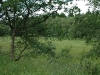 gelande-vor-abbruch-6