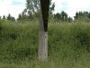 gelande-vor-abbruch-7