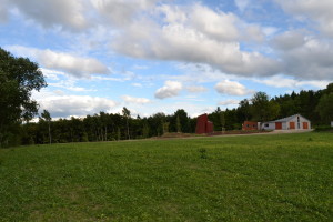 Festwiese 2013 06 22